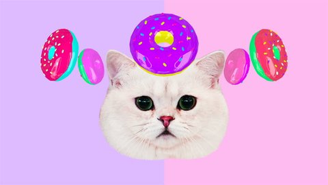 Motion minimal design art. Funny cat and donuts