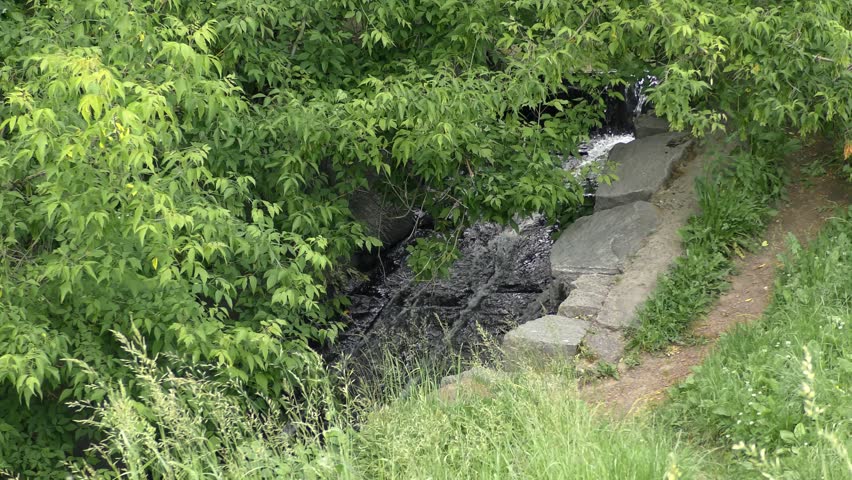 Rocky stream in the park