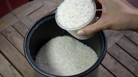 footage hand rice dropping from glass cup into magic com pan
