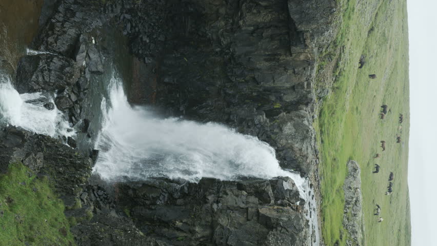 vertical shot of waterfall with Icelandic ponies in background