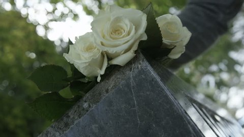 Slow motion of white roses on gravestone