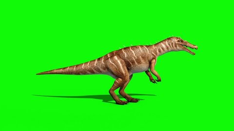 Spinosaurus Walks Dinosaurs Green Sceen 3d Stock Footage Video (100% ...