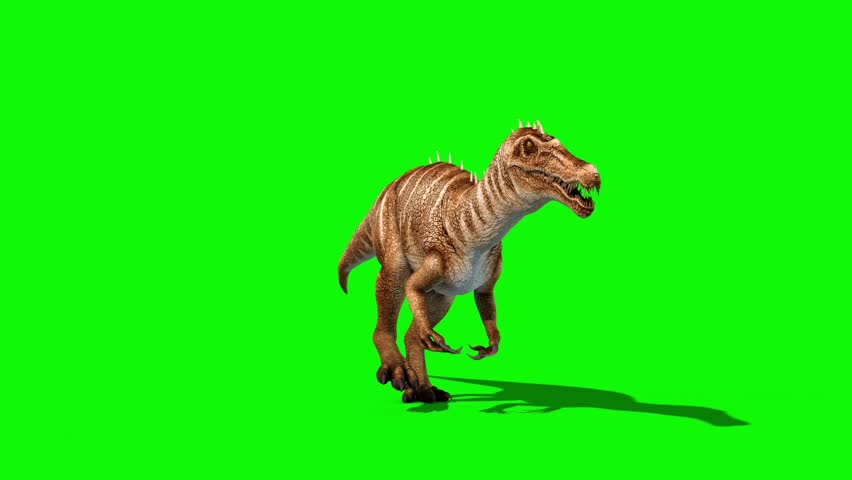 Video Stok baryonyx dinosaurs runcycle front green screen (100% Tanpa Royal...