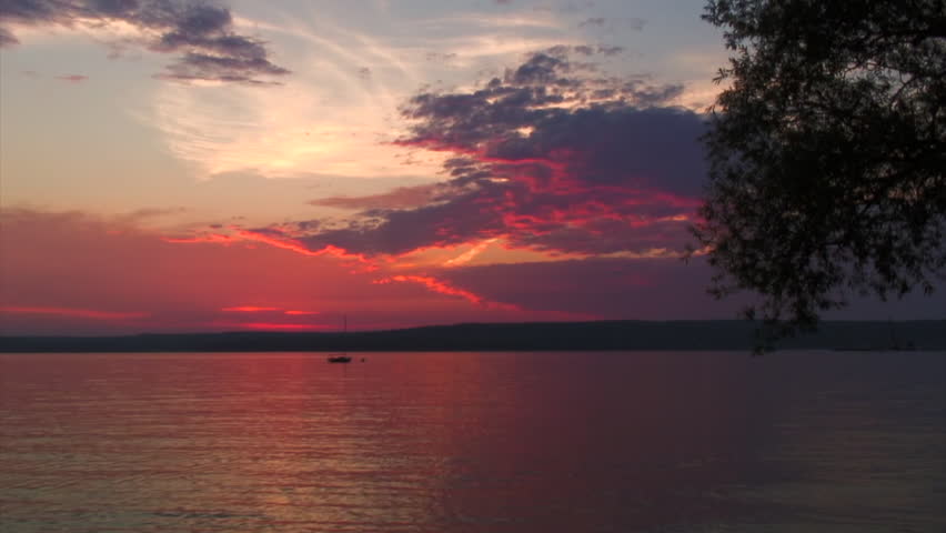Wide: Tree Overhanging Pink Sunset Wisconsin