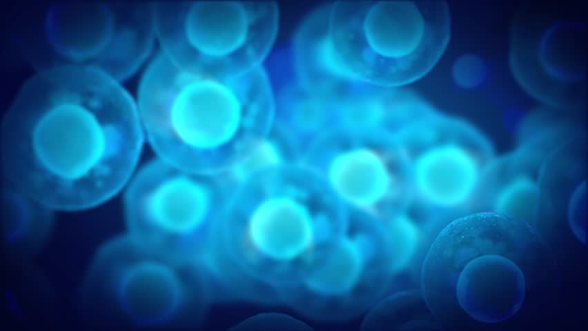 Embryonic stem cells Royalty-Free Stock Footage #1012693424