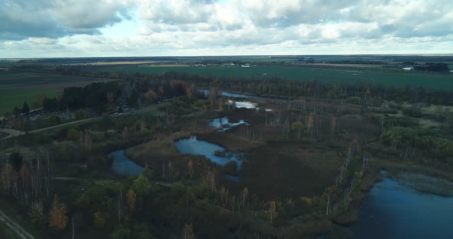 Aerial shot of a swamp on cloud day