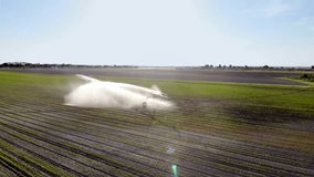 Industrial irrigator spraying water on a field of crops, in europe, Video in 4 to flight, view over