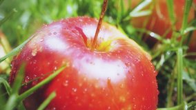 Slow motion shot of water drops falling onto red apple - Powered by Shutterstock - Get 15% off with code: PIKWIZARD15