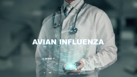 Doctor holding in hand Avian influenza