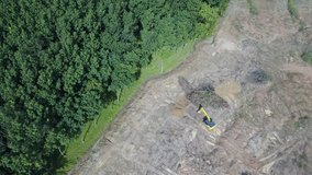 Deforestation. Environmental destruction of forest for palm oil industry.  Aerial drone footage 