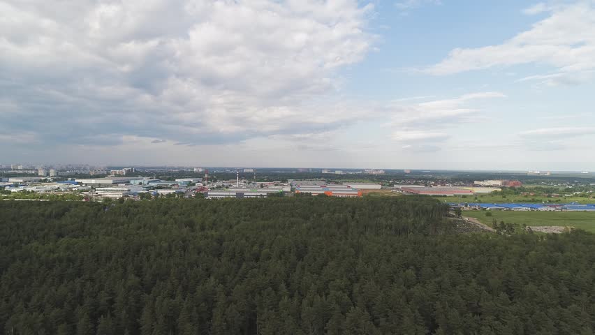 Flight over the forest. In the distance, on the horizon, you can see a large city.