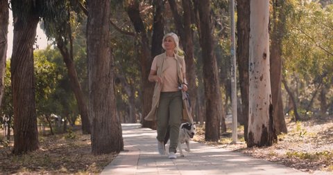 Senior woman with dog enjoying afternoon walk in park and monitoring walking progress on smartwatch