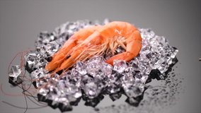 Shrimps. Fresh Prawns close-up. Seafood rotated on crashed ice, food background, top view, preparing healthy food, cooking, diet, nutrition concept. Slow motion 4K UHD video