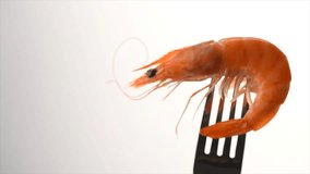 Shrimp. Fresh Prawn on a fork rotated on White Background. Seafood, preparing healthy gourmet food, healthy eating, cooking, diet, nutrition concept. Slow motion 4K UHD video