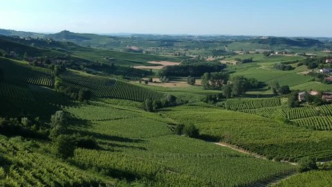 Aerial landscape beautiful green hills of vineyards of Tuscany and Piedmont, Italy. Region wine area langhe, monferrato and roero fields.