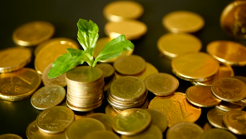 Management efficiency. Golden coins stack and green leaf on black background. Time for Success of Finance Business. Investment, business financial ideas concept. Unfocused rotating penny Royalty-Free Stock Footage #1012835108
