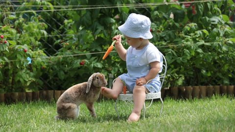 Cute little baby boy, child feeding little bunny with carrots in park, outdoors

