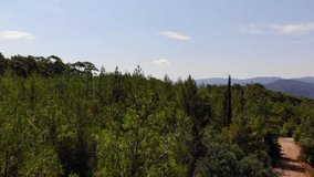 An aerial clip from Aegean pine forests surrounding the Gulf of Gokova.

