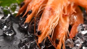 Shrimps. Fresh Prawns on a Black Background. Close-up Seafood on crashed ice with herbs, dark background, Served food, preparing healthy food, cooking, diet, nutrition concept. Slow motion 4K UHD