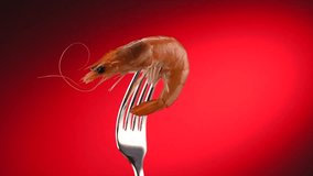Shrimp. Fresh Prawn on a fork rotated on Red Background. Seafood, preparing healthy gourmet food, healthy eating, cooking, diet, nutrition concept. Slow motion 4K UHD video