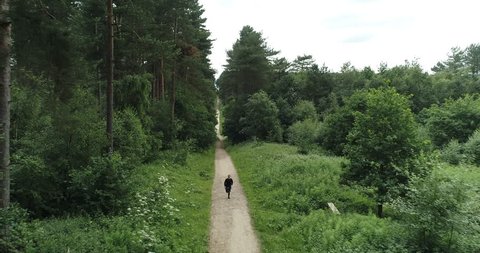 4K Aerial of Man running on a Path through Forest Glade. British Woods with Evergreen and Pine Trees in the Countryside on a Summer Evening in Great Britain.