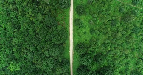 4K Aerial shot of runner  Man running on Path through a nature forest shot from above. Male training for marathon and fitness to lose weight, in pine tree scene along path road. 