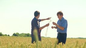old two farmers explore are studying. man Wheat Field summer in the field wheat bread. slow motion video lifestyle Smart farming. farmer ecology concept. agriculture worker working in the field