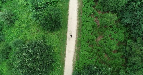 Aerial of Fitness Runner running into distance and thick nature woodland forest.  Tracking shot of man jogging and training on path road alone for marathon. 