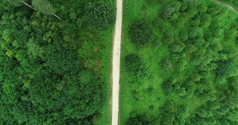 4K Aerial Man jogging on a Path through a Great Green Nature Forest Glade, Tree Lined British WoodLand with a Natural Countryside Road and Free Runner in Great Britain.

