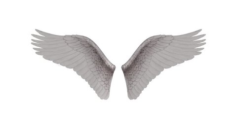 Angel Wings. Alpha channel Included. Looped. Easy to use.
