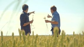 old two farmers in Wheat Field. slow motion video.