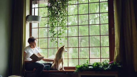 Attractive African American girl student is reading book and stroking her purebred dog sitting on window ledge in modern apartment. Hobby, animals and interior concept.