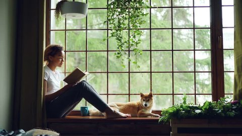 Attractive young lady is reading book sitting on windowsill in the house together with adorable puppy. Large window, green plants, nice interior is visible.