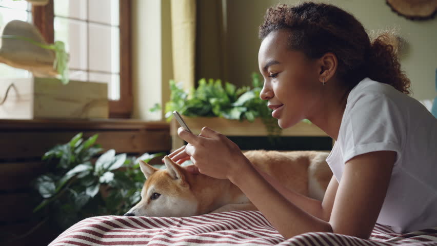 Pretty girl student is using smartphone touching screen and laughing lying on bed at home with cute pet dog, animal is enjoying care and love. | Shutterstock HD Video #1012911959