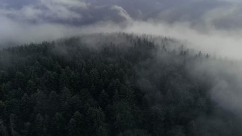 Aerial video over the forest after the rain with clouds and fog. Cinematic video with a forest after the rain. Romanian aerial video of a forest after the rain.
