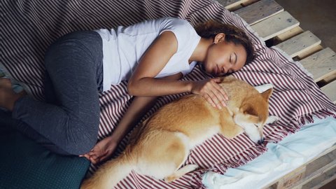 High angle view of pretty young woman in pajamas and her adorable puppy sleeping together on bed at home. Friendship, rest and furniture concept.