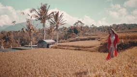 Beautiful young woman in red transparent dress walking along the rice field - video in slow motion