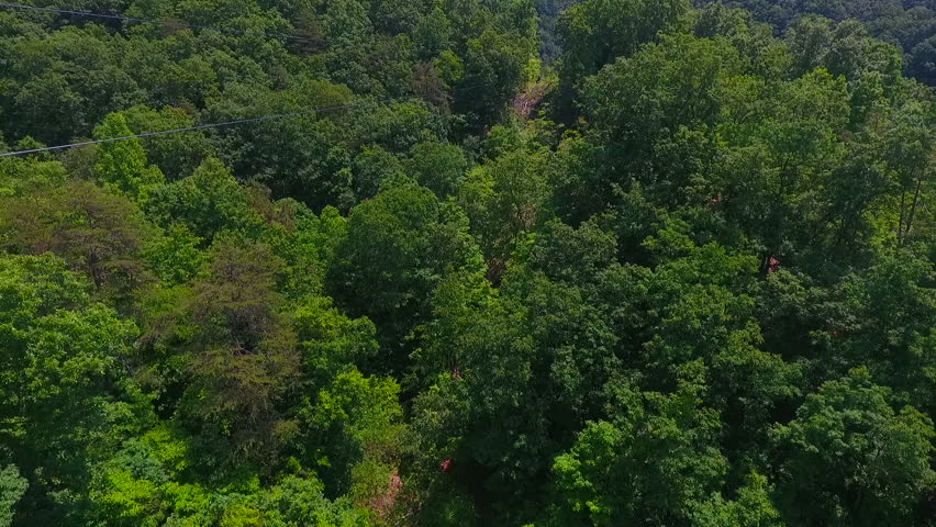 Two people go past camera on duel zip line