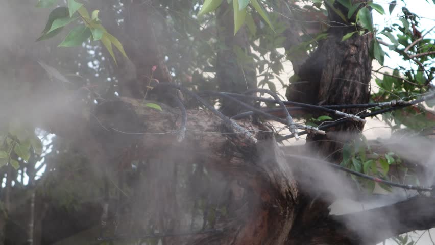 Fog water or mist spray nozzle setup on tree for watering plant at flower garden

