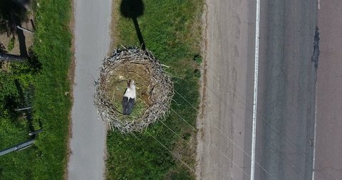 Aerial view nest of white crane bird on pole above highway with passing cars