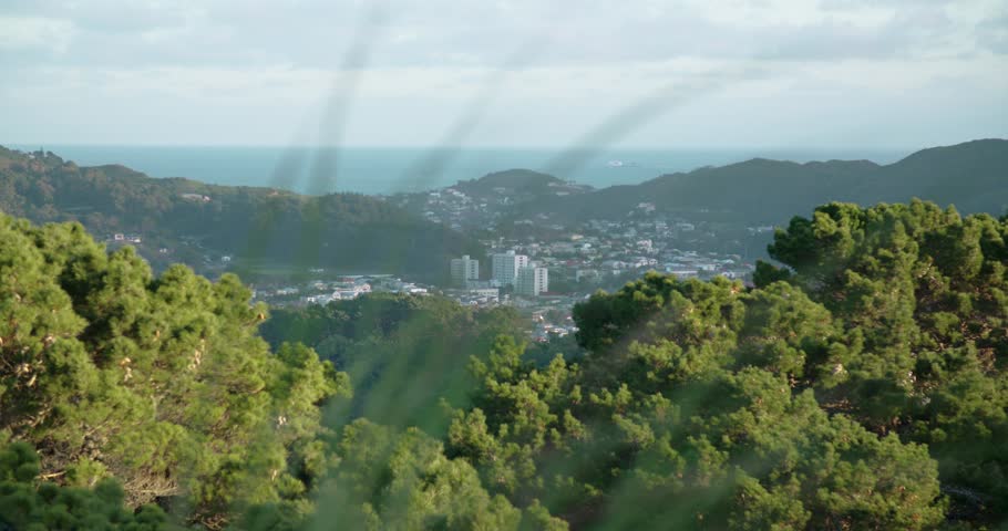 South Wellington in the evening