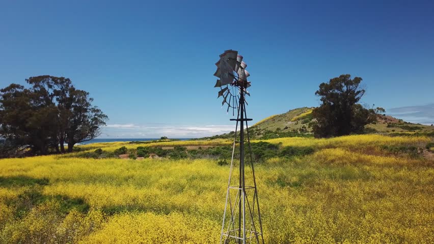 Windmill in mustard field along Hwy1 Central California Coast drone shot