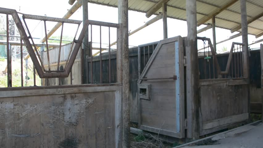 The old stable building at an abandoned ranch. Old interior.