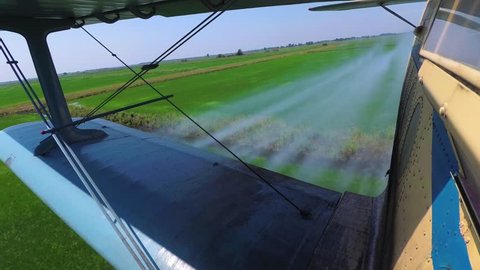 Agricultural Aviation. Crop Duster , Agriculture Aircraft Flies Low over a Field with Rice and Splashing, Sprays Chemicals Against Pests