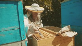 the beekeeper working in the apiary lifestyle bees fly swarm multi colored beehive slow motion video. bee-maker beekeeper man working of a smoke pipe beeper wooden hives smoker device for repelling