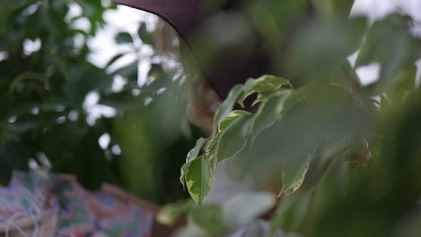 Beautiful young girl reads a magazine in green tones and smiles playfully