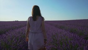 handsome brunette woman Walking in an Endless Lavender Field. Happy girl 
 enjoying life and nature in a blooming lavender field. Plateau du Valensole, Provence, France. slow motion video