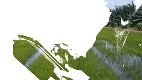 Exposure of business man using tablet with barley field - Powered by Shutterstock - Get 15% off with code: PIKWIZARD15