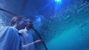 Teenage girl with Dad watching the fish in the Aquarium stock footage video