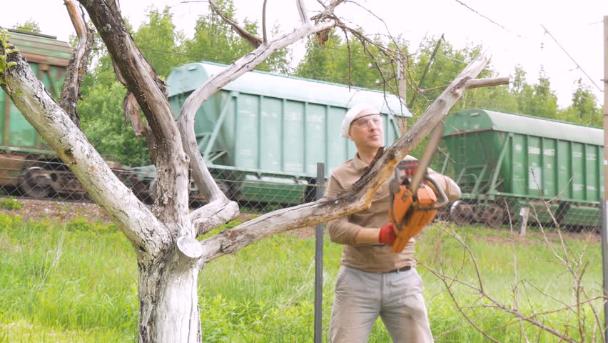 A man cuts off branches on a tree that is withered. In the background, there is a train.